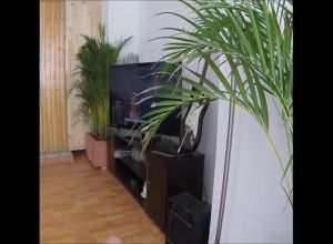 С подружкой порнушку смотрят и занимаются сексом